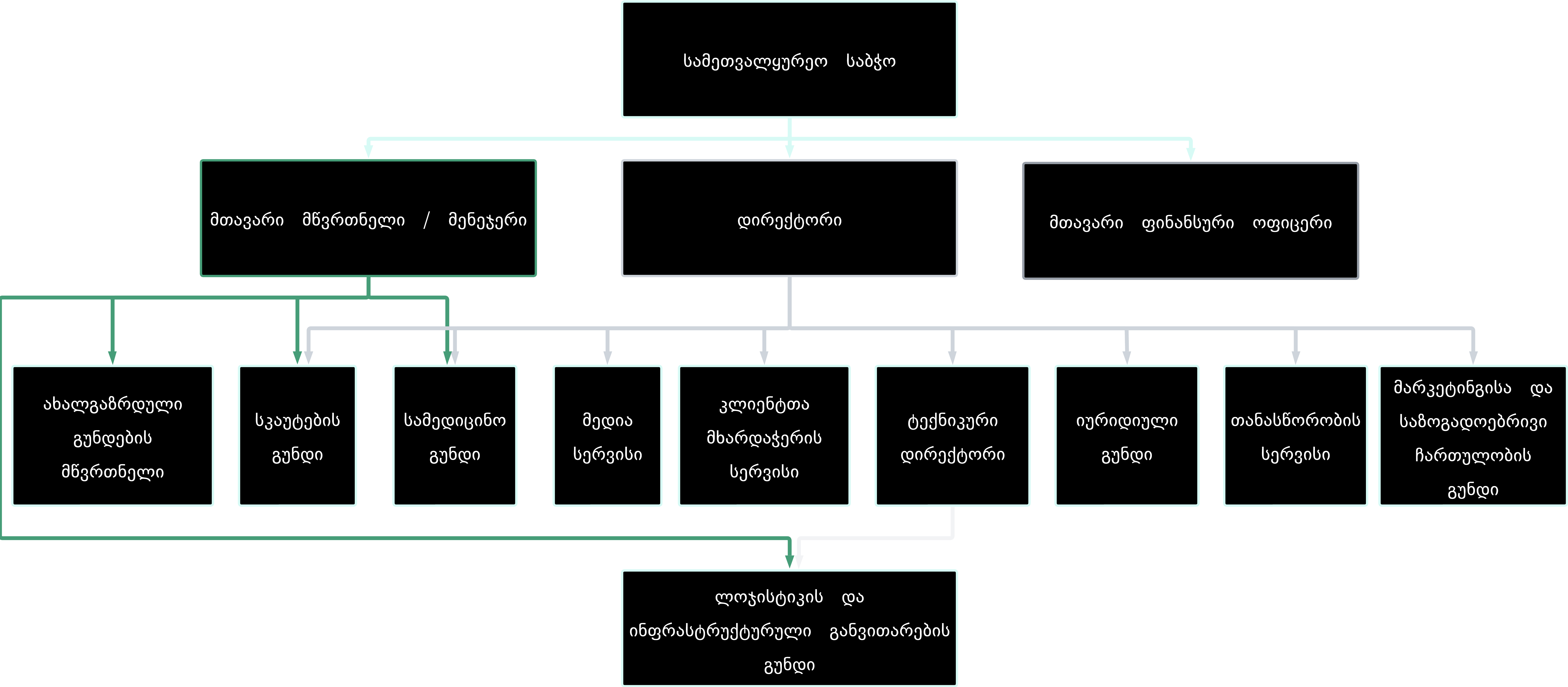 Newvision Organizational Structure