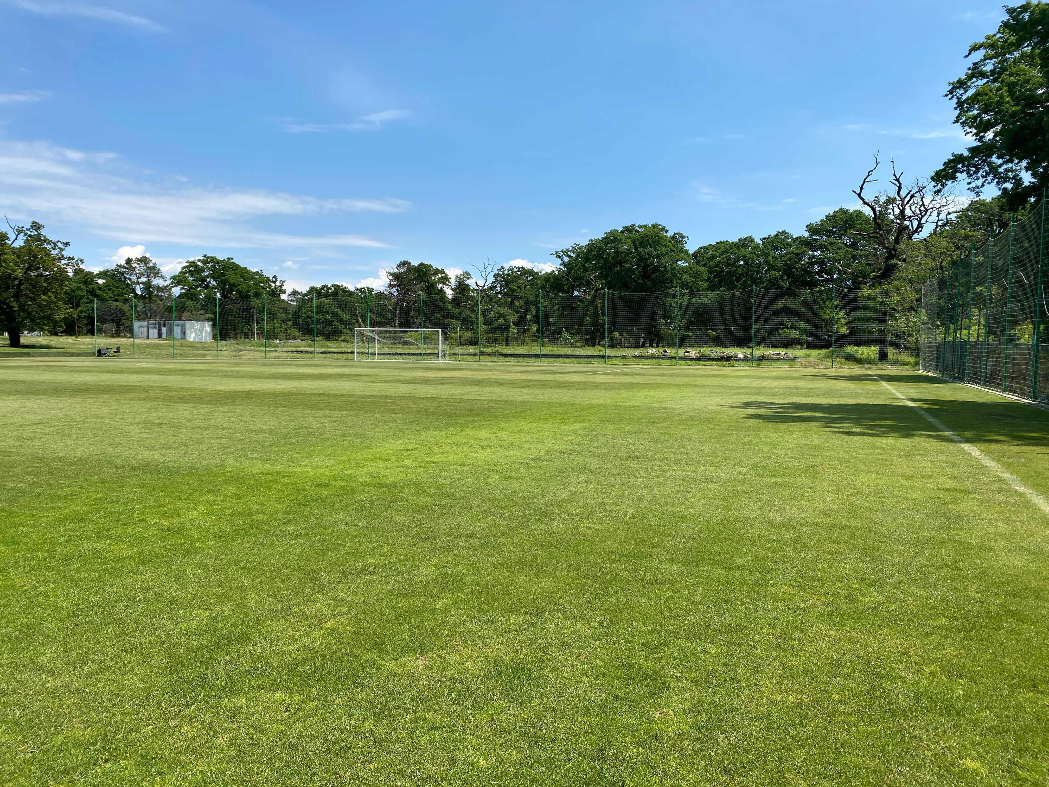 Shengelia Arena Photo