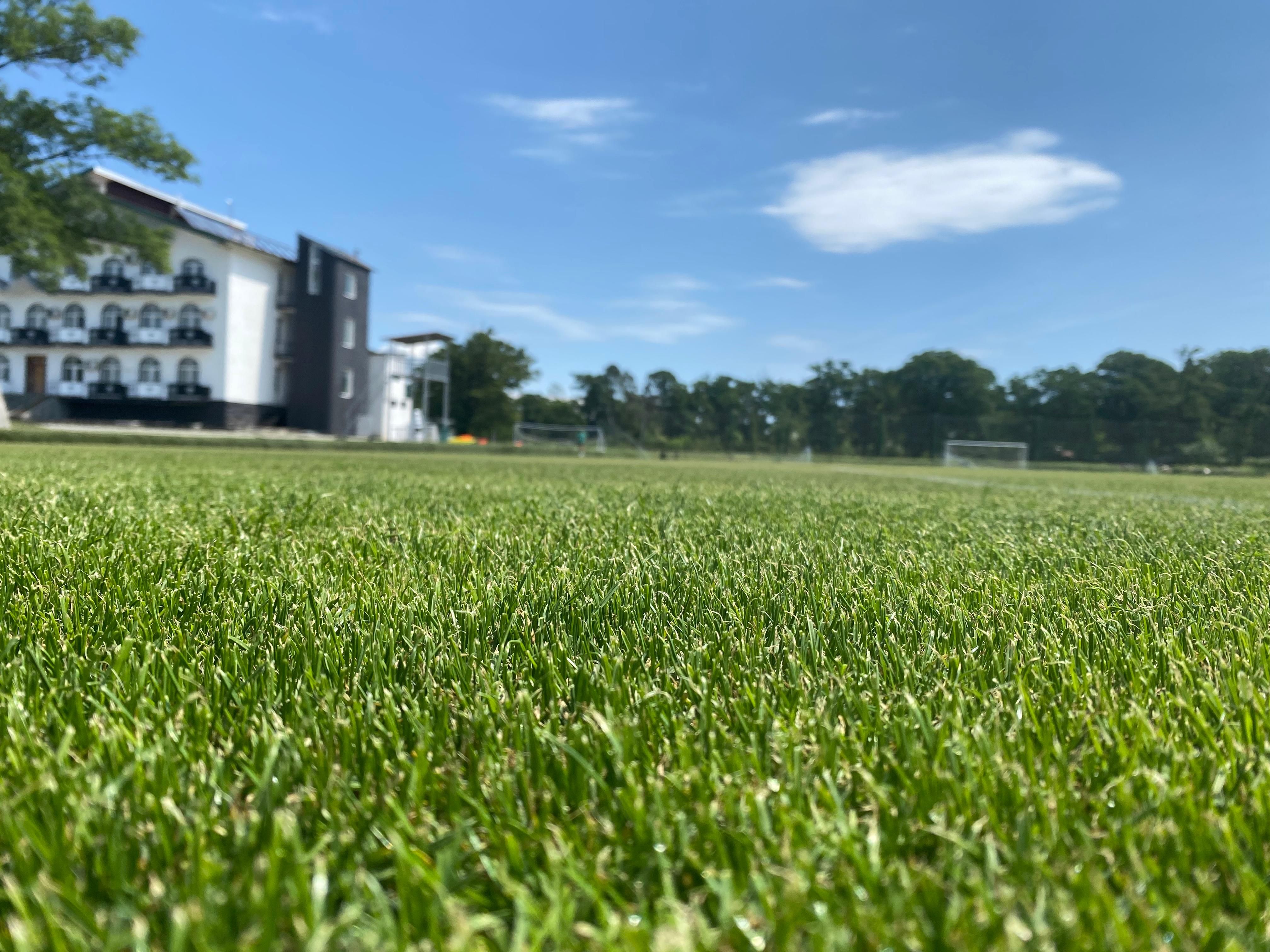 Shengelia Arena Photo