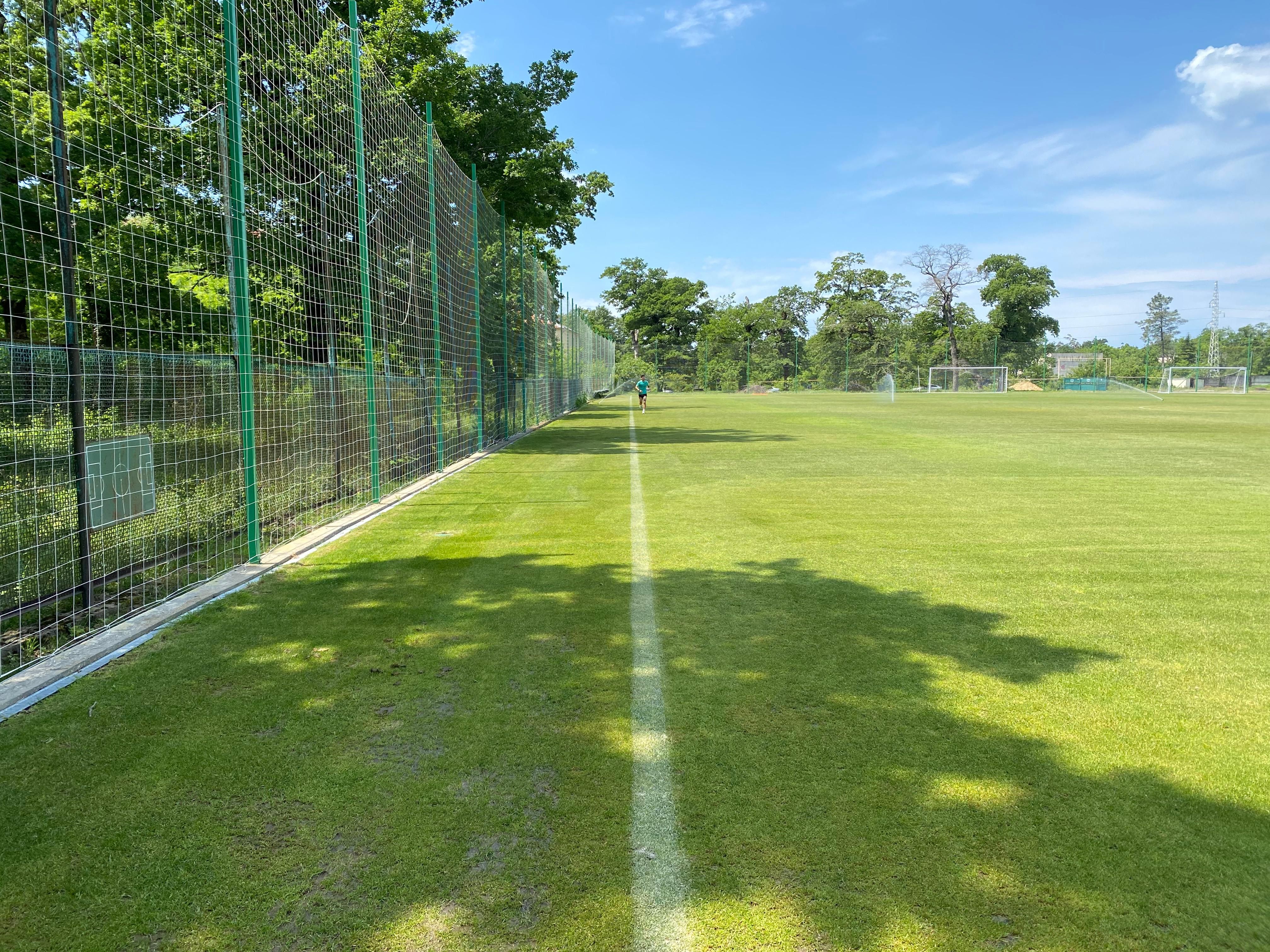 Shengelia Arena Photo